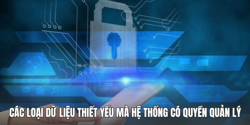 Các loại dữ liệu thiết yếu mà hệ thống có quyền quản lý