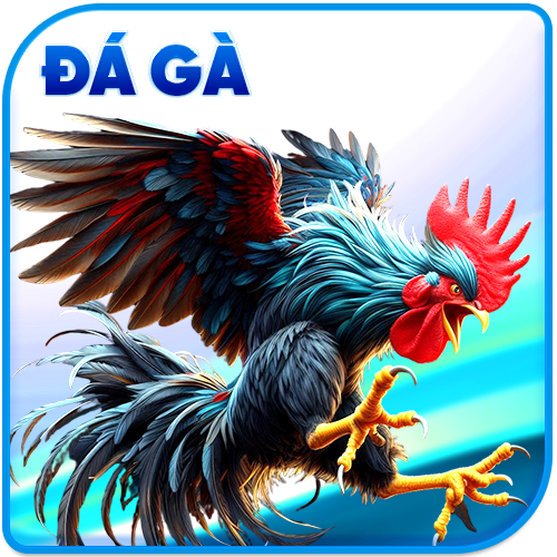 Đá gà