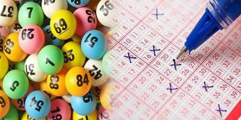 Dùng thống kê tần suất soi bạch thủ lô chuẩn xác